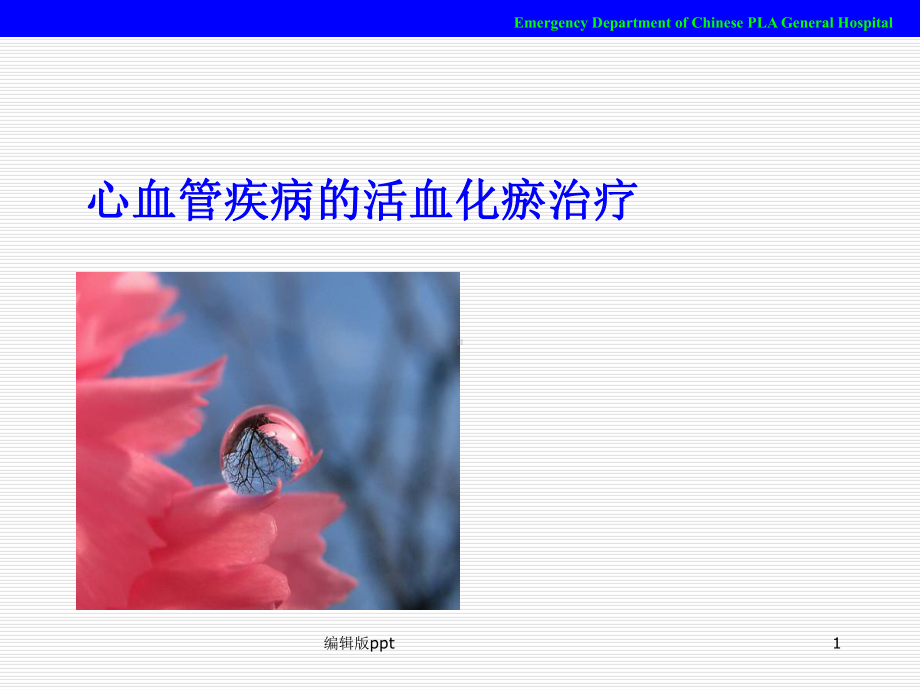 心血管疾病的活血化淤治疗课件.ppt_第1页