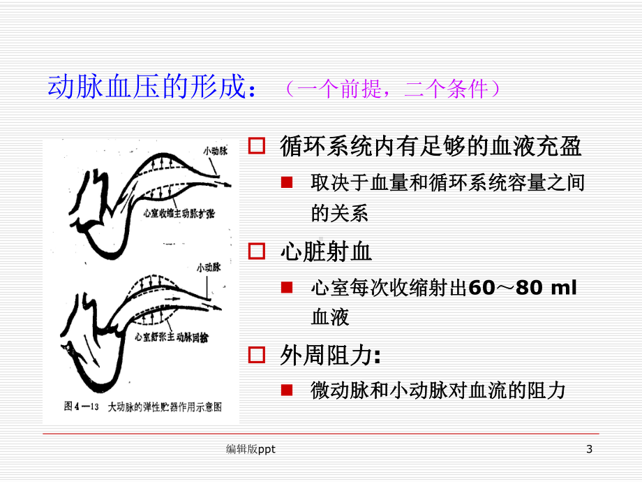 心血管疾病的活血化淤治疗课件.ppt_第3页