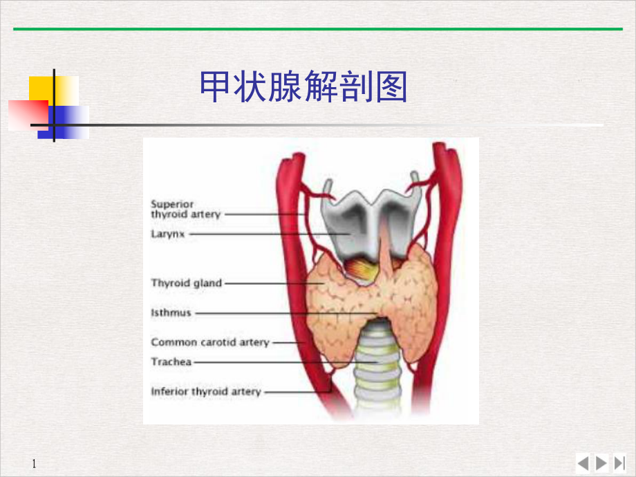 甲亢的特殊表现及处理标准课件.pptx_第2页