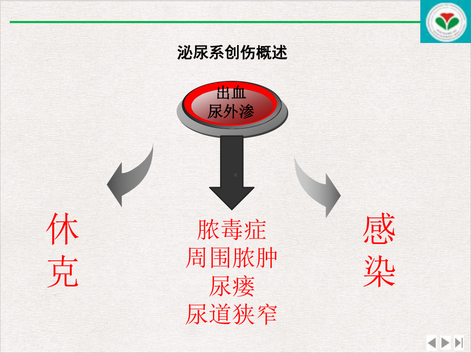 泌尿系统创伤以及诊断治疗大全最新版课件.pptx_第3页