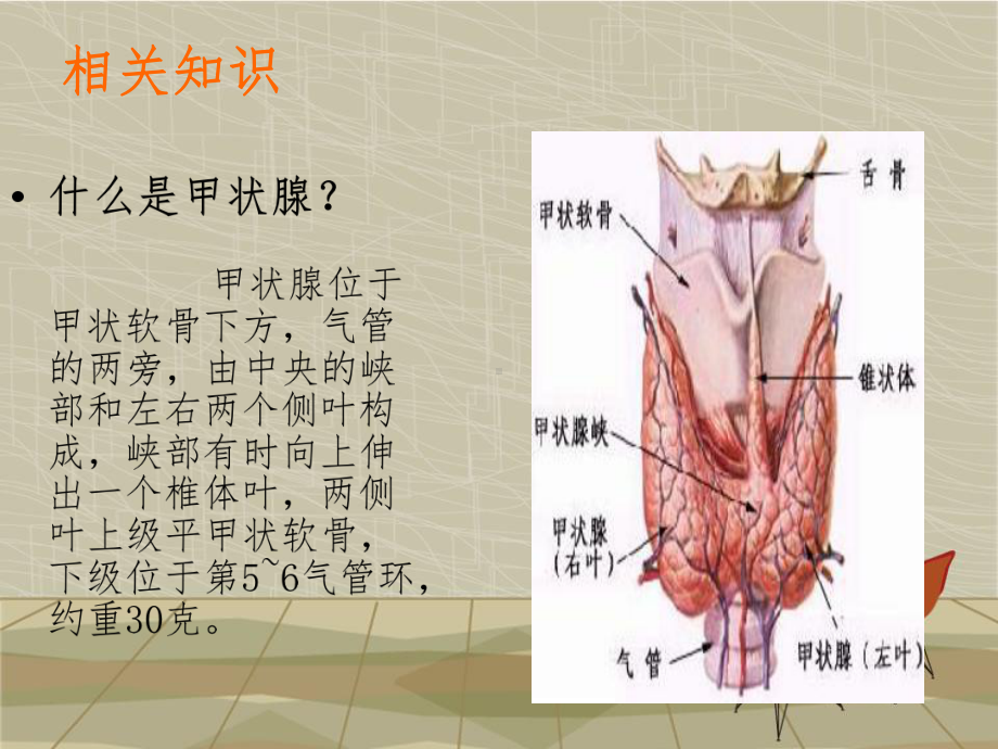 甲状腺肿瘤护理查房(同名1237)课件.ppt_第2页