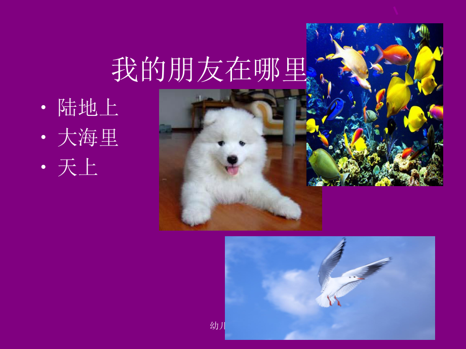 幼儿园助教之交通工具课件.ppt_第3页