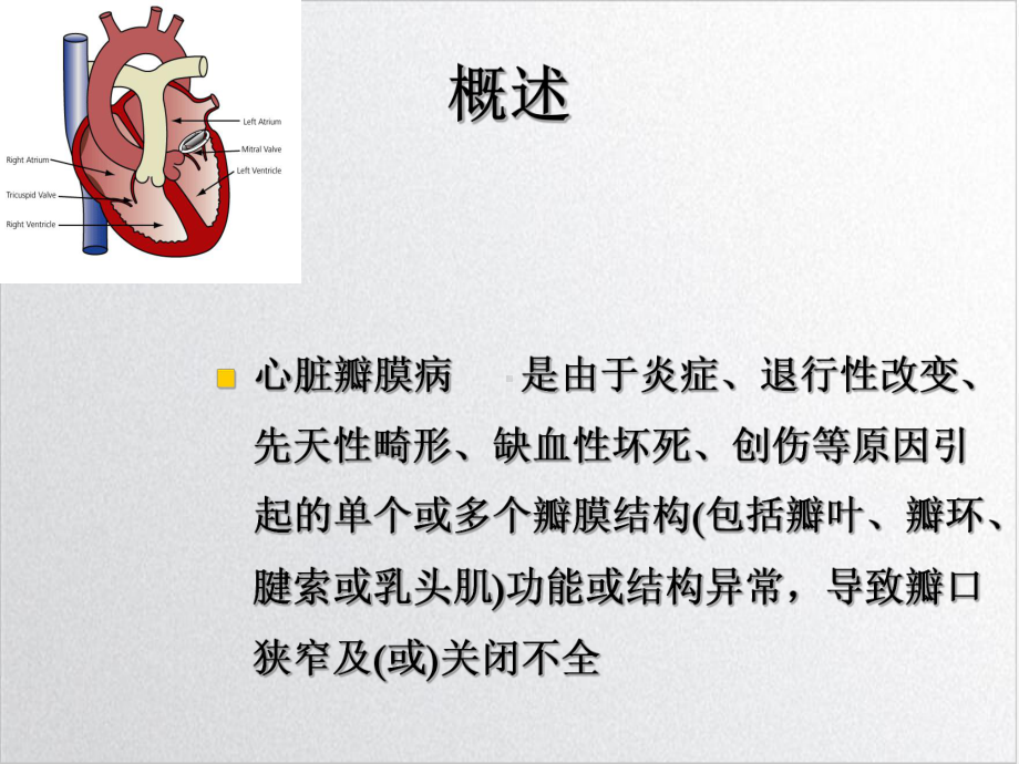 心脏瓣膜病人手术的麻醉实用课件.ppt_第3页