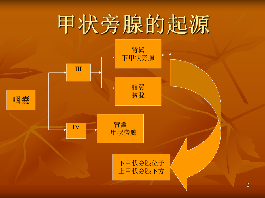 甲状旁腺的CT诊断课件.ppt_第2页