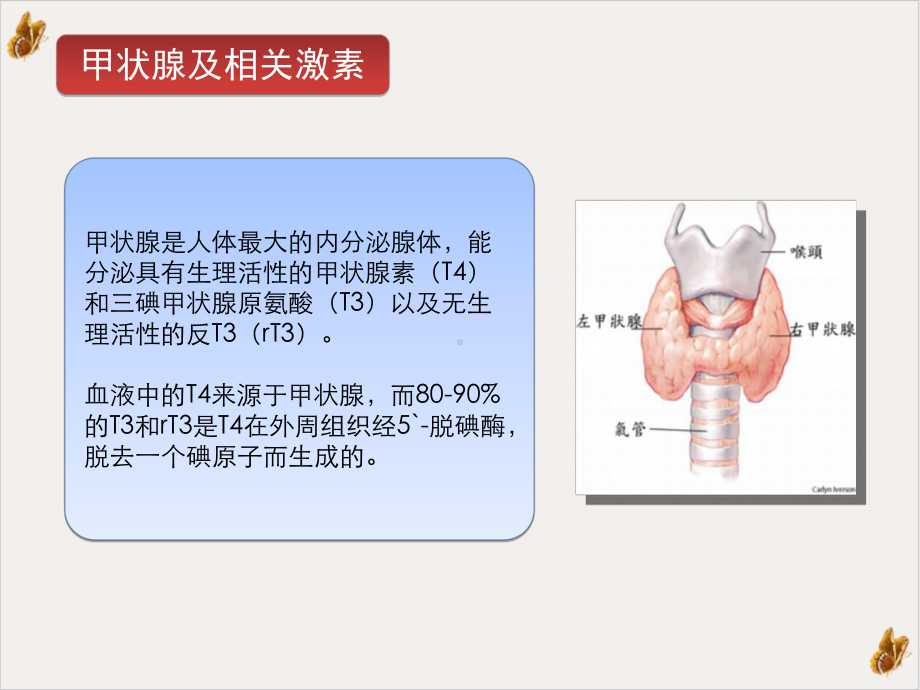 甲状腺疾病血清学检测临床应用课件.pptx_第3页