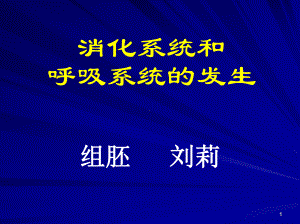 消化系统和呼吸系统的发生-课件.ppt