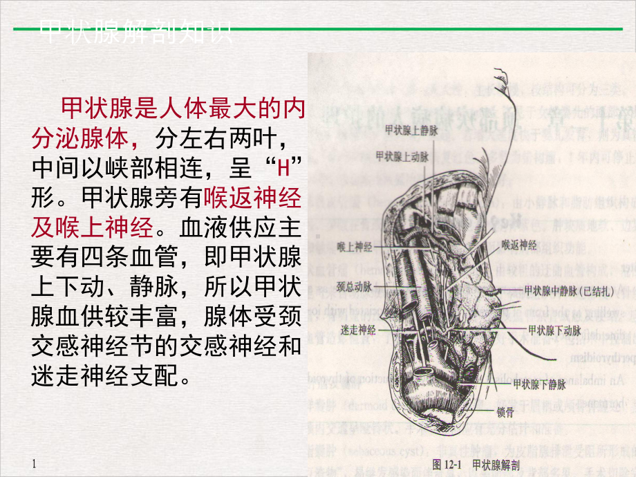 甲状腺次全切术前术后护理课件整理.pptx_第2页