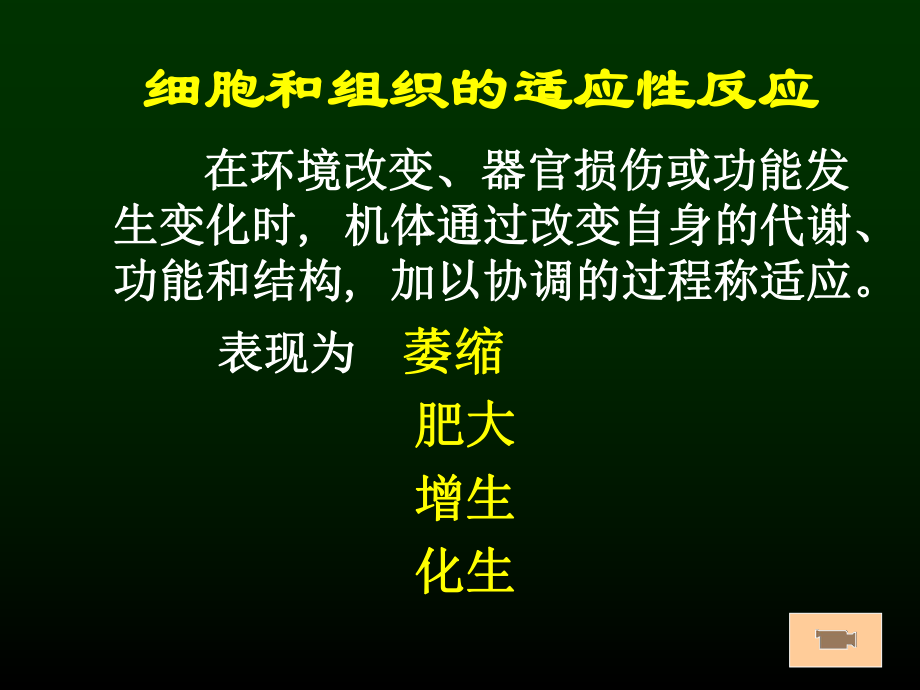 最新细胞组织的适应和损伤课件.ppt_第3页