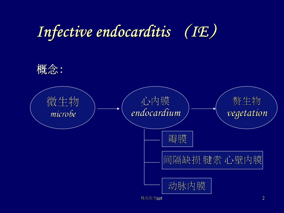 感染性心内膜炎课件1.ppt_第2页