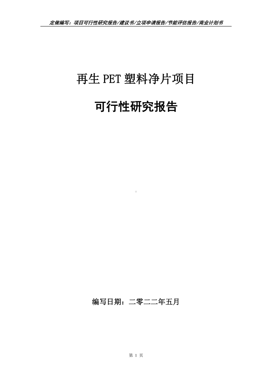 再生PET塑料净片项目可行性报告（写作模板）.doc_第1页