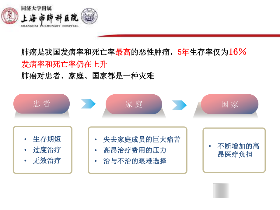 晚期非小细胞肺癌精准治疗课件.pptx_第3页