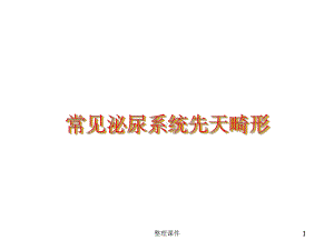 常见泌尿系统先天畸形课件.ppt