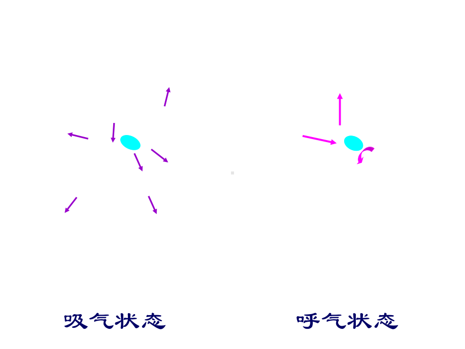 最新呼吸系统2课件.ppt_第2页