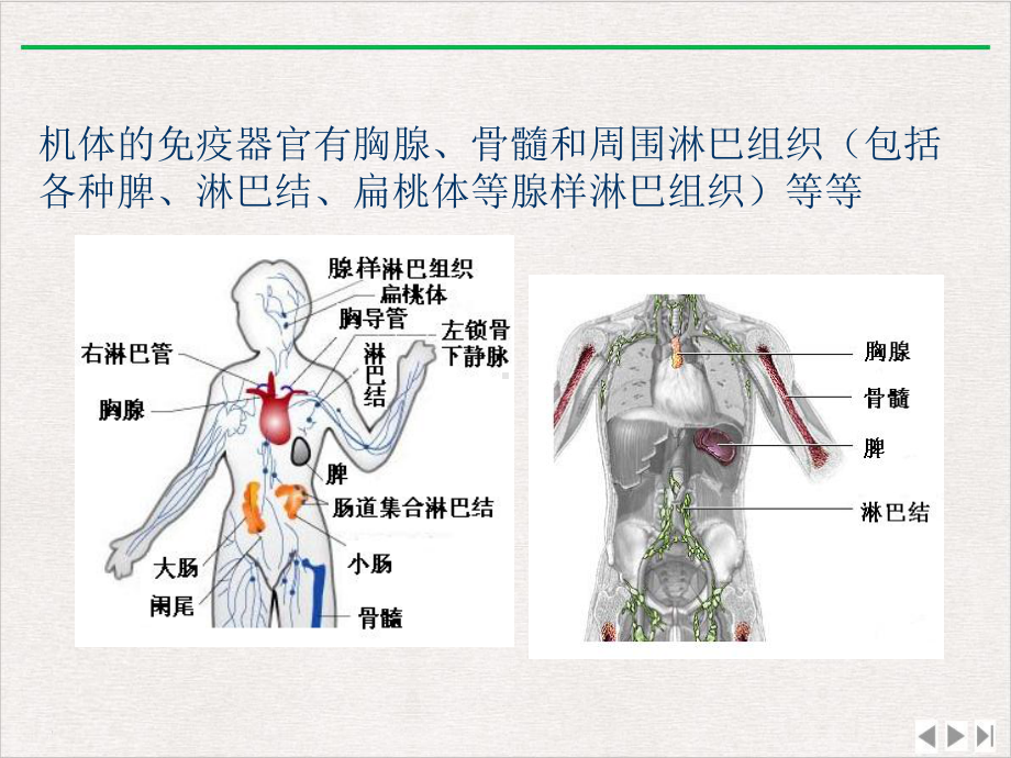 淋巴细胞亚群及其活化状态测定的临床应用版课件.pptx_第1页