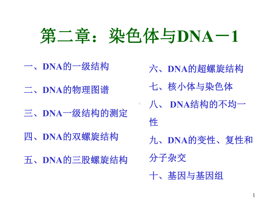 染色体与DNA课件-.ppt_第1页