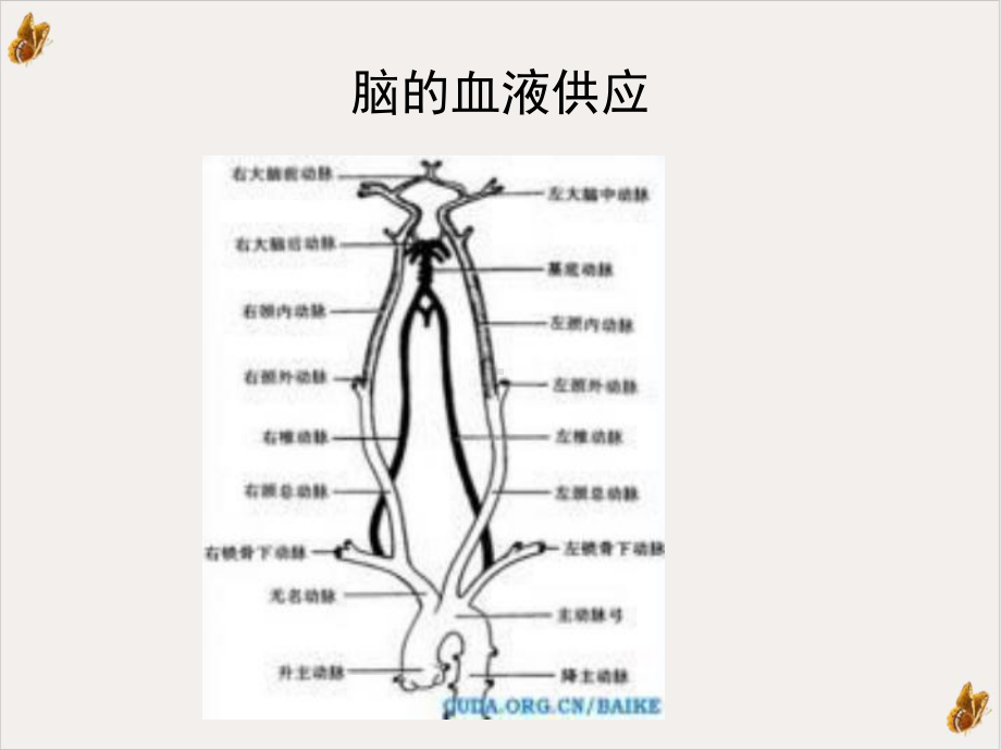 急性脑血管预防与治疗副本课件.ppt_第3页