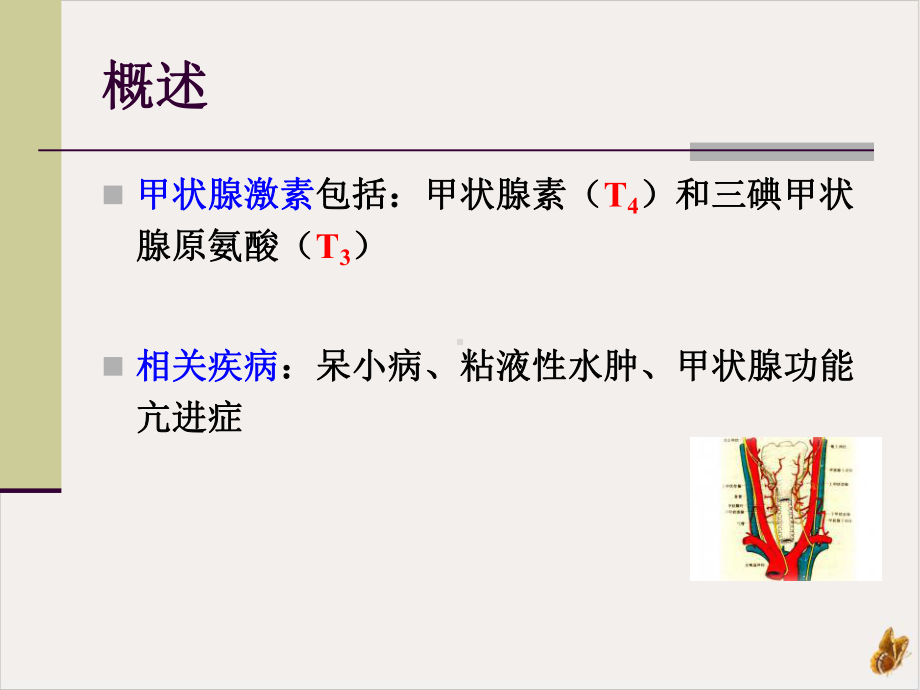 甲状腺胰岛素实用课件.pptx_第1页