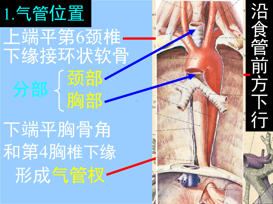 气管切开术的护理剖析培训课程课件.pptx_第2页