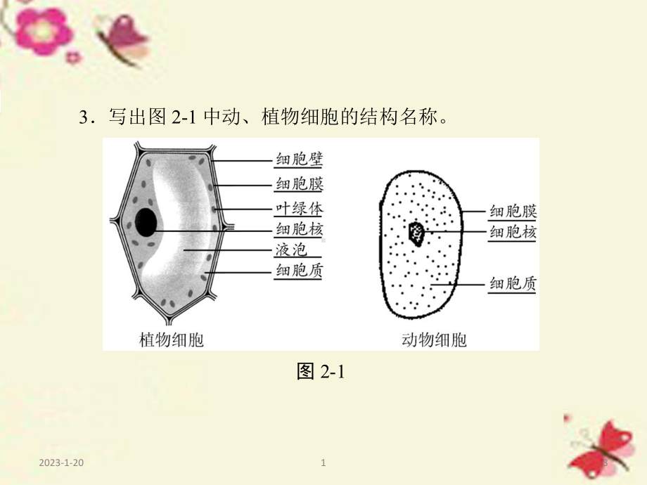 浙江省中考科学：第2课《细胞》课件.ppt_第3页