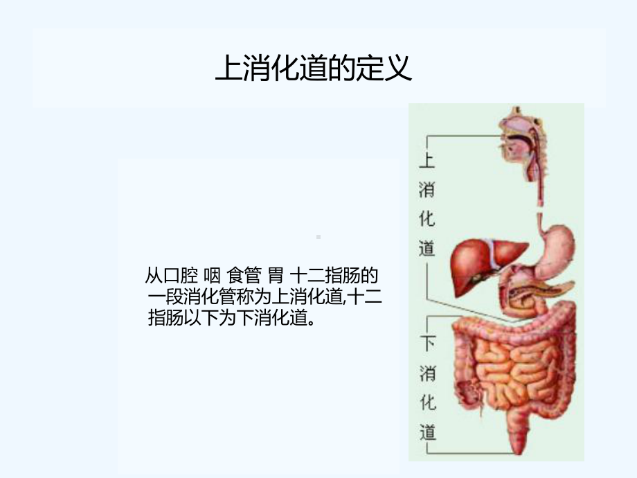 消化道穿孔护理查房PPD课件.ppt_第2页