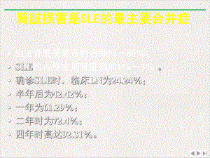 狼疮性肾炎病理与治疗选择中南6省完整版课件.pptx