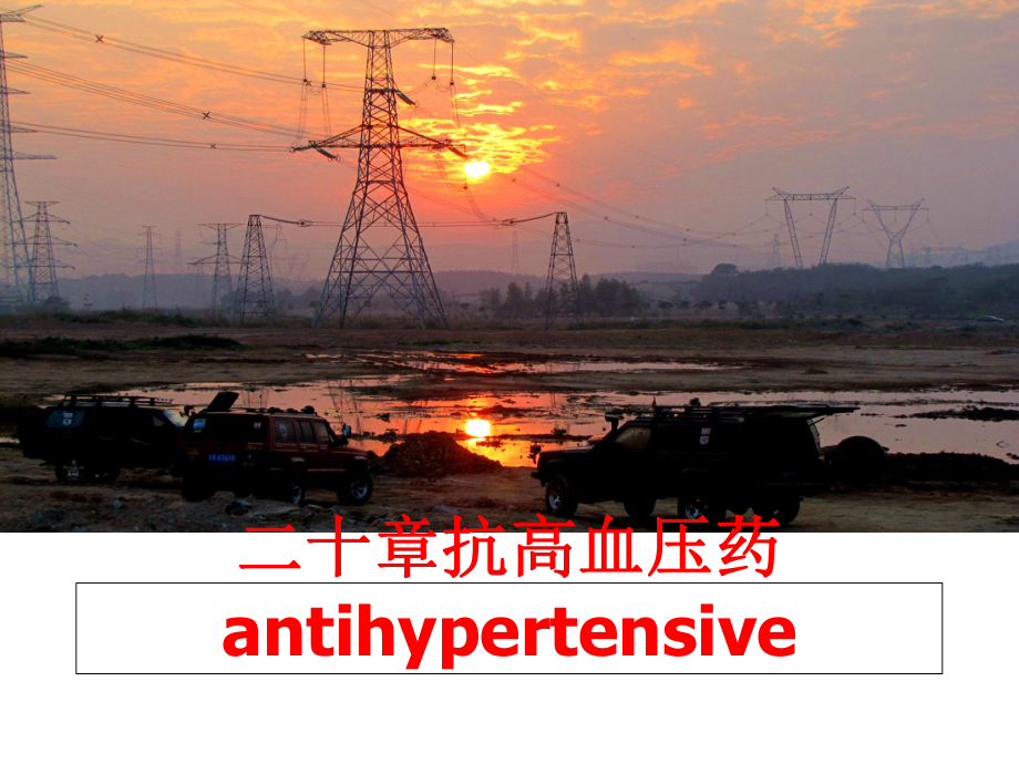 最新二十章抗高血压药antihypertensive课件.ppt_第1页