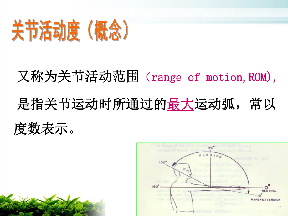 康复评定技术关节活动度测定课件.ppt_第2页