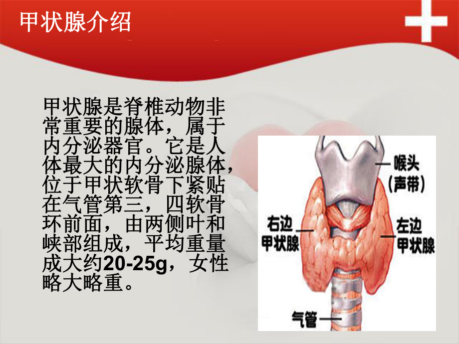 桥本氏甲状腺炎课件(同名8).ppt_第3页