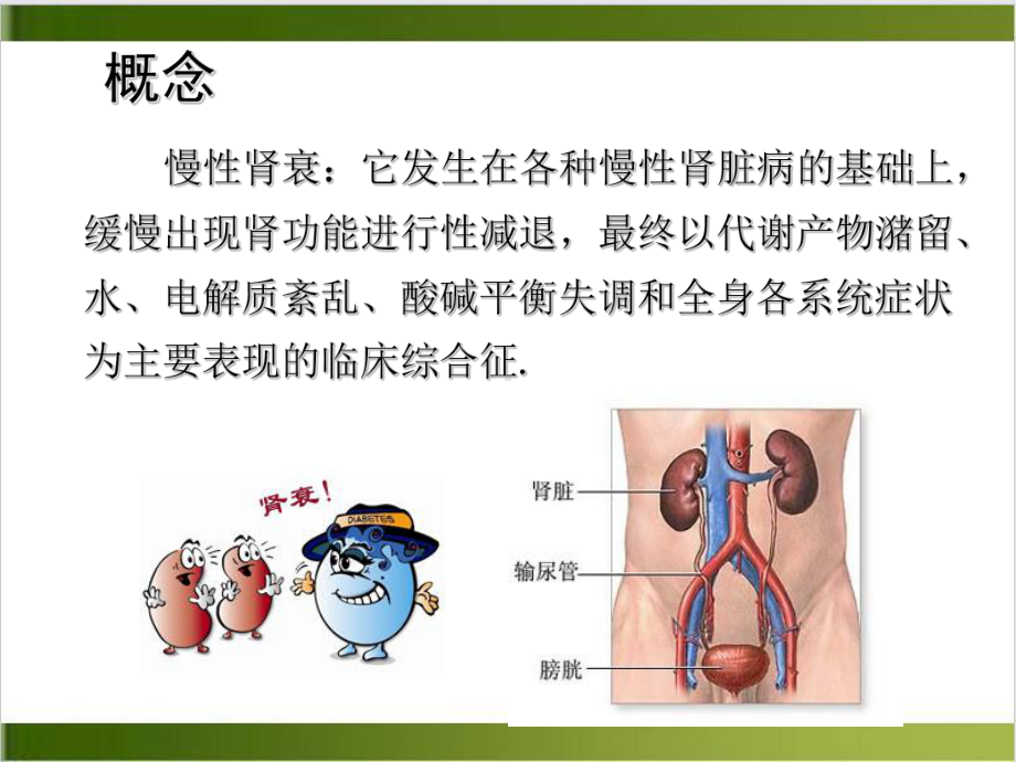 慢性肾衰竭的护理PPT课件.ppt_第3页