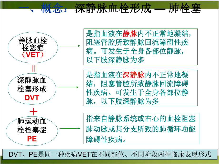 深静脉血栓形成预防和护理措施资料课件.pptx_第2页