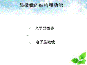 显微镜的结构和功能课件-北师大版.ppt