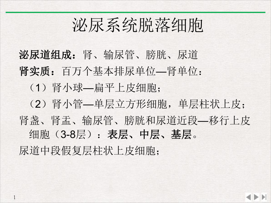 浆膜腔积液脱落细胞学检查教学课件.pptx_第1页