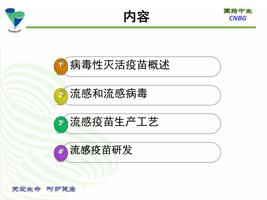 流感疫苗生产与研究进展课件.ppt_第2页