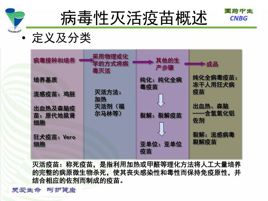 流感疫苗生产与研究进展课件.ppt_第3页