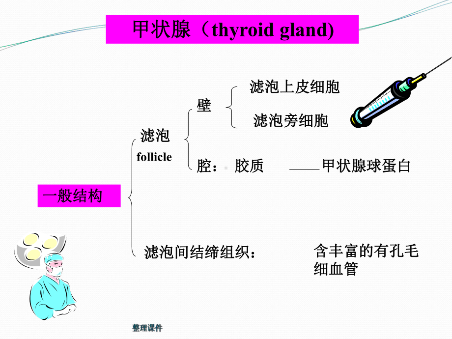 甲状腺癌术后TSH抑制治疗机理学习课件.ppt_第3页