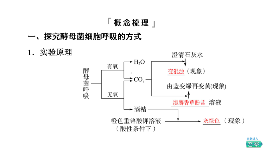 新教材2022版新高考生物人教版一轮总复习课件：必修1-第3单元-第8课-细胞呼吸的原理和应用.ppt_第3页