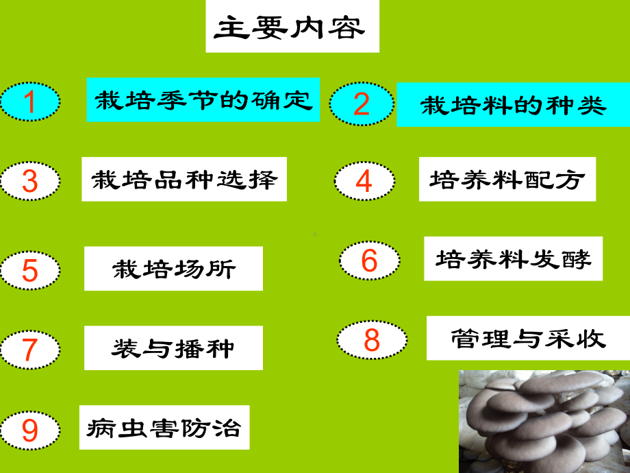 平菇发酵料袋栽技术课件.ppt_第3页