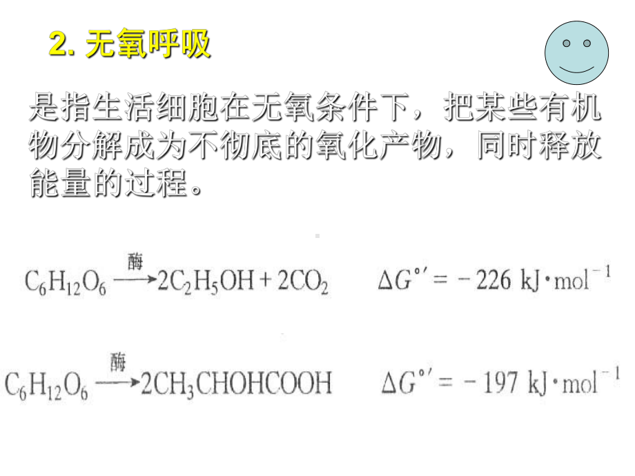 植物生理学004-植物的呼吸作用课件.ppt_第3页