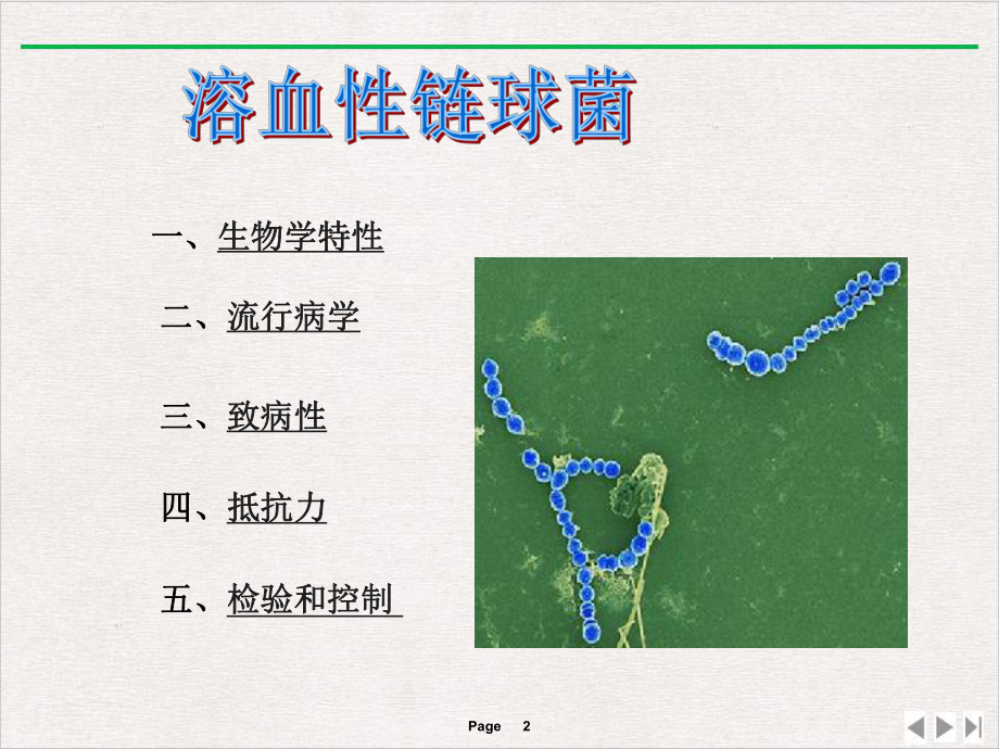 溶血性链球菌新版课件.pptx_第2页