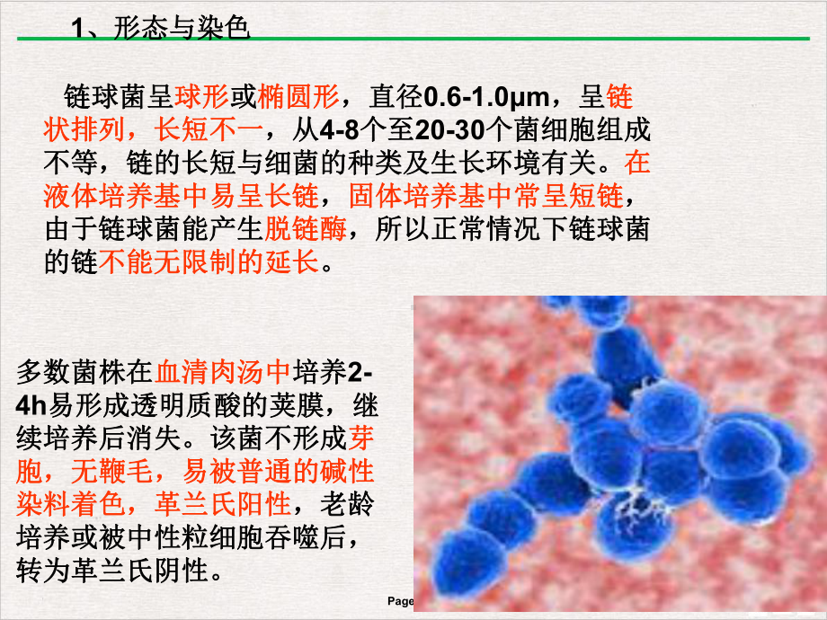 溶血性链球菌新版课件.pptx_第3页