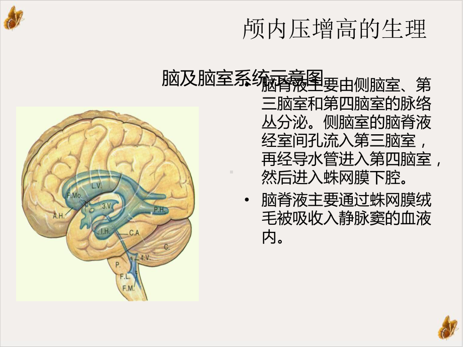 急性脑水肿与颅内高压教材课件.ppt_第3页