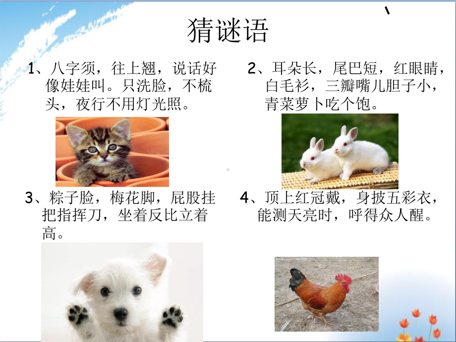 我喜欢的小动物优秀课件.ppt_第1页