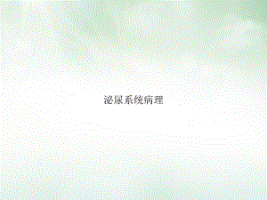 泌尿系统病理课件讲义.ppt