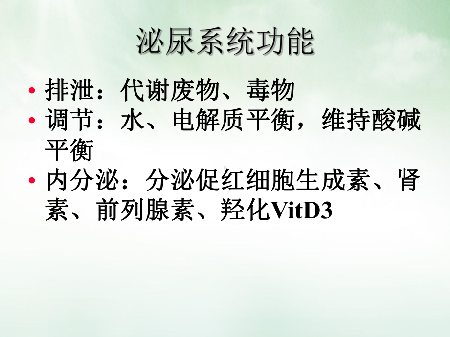 泌尿系统病理课件讲义.ppt_第3页