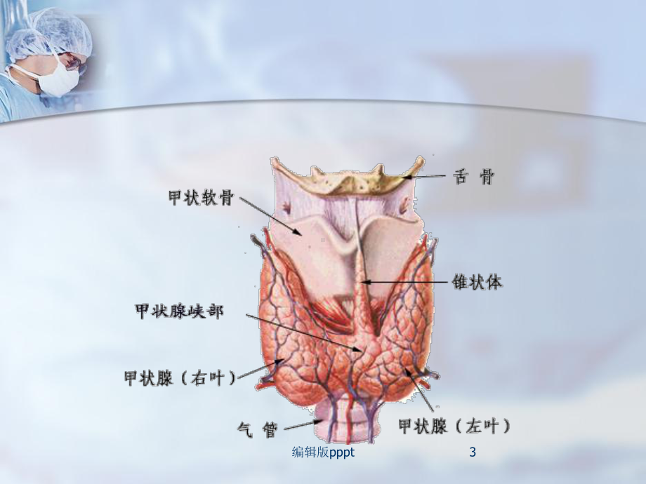 甲状腺手术课件.ppt_第3页