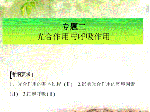 影响光合呼吸的因素和曲线分析报告课件.ppt