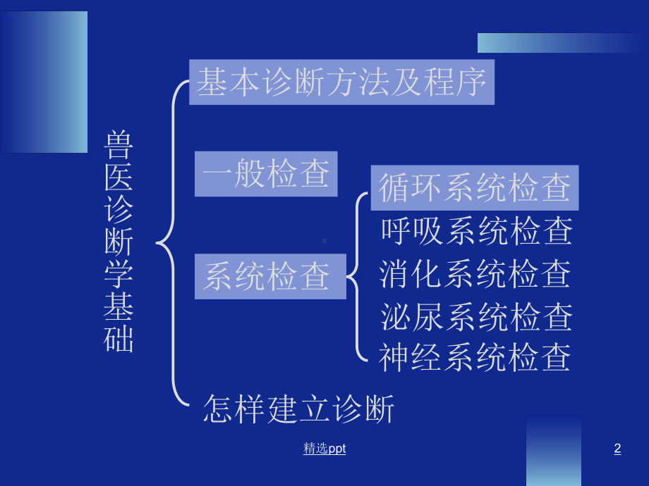 本科兽医临床诊断学循环系统检查课件.ppt_第2页