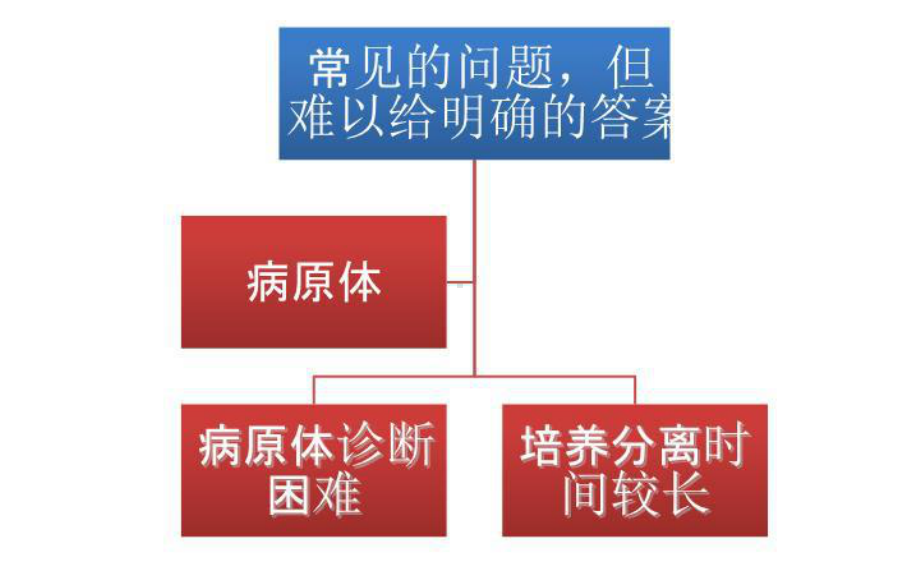 最新从指南更新看非典型病原体地位课件.ppt_第3页