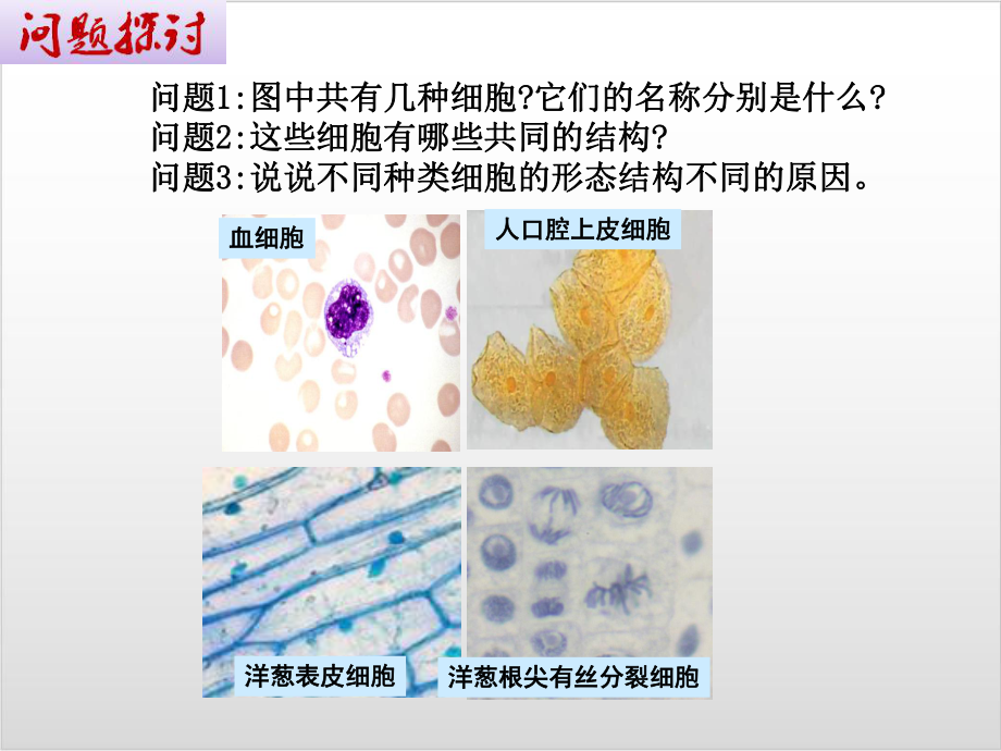 新教材《细胞的多样性和统一性》课件人教版1.pptx_第2页