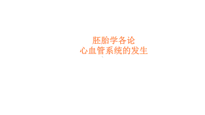 心血管系统发生课件整理.ppt